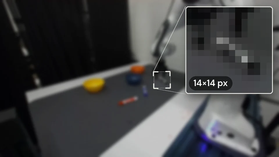 The external view after resizing to the policy's 224-pixel input: the scene is visible but blurry